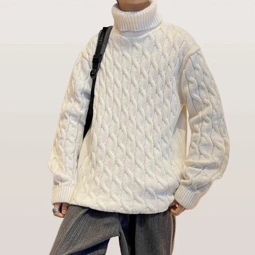 Pull à Col Roulé en Laine pour Homme